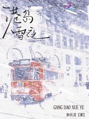 港岛雪夜免费