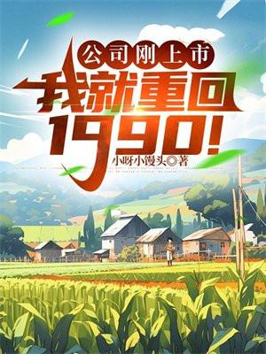 2024年上市的公司