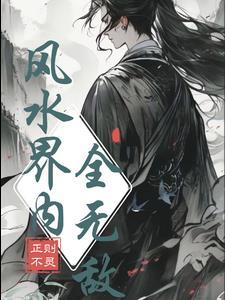 风水师无忌