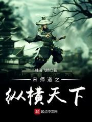 宋师道之纵横天下 林海飞扬