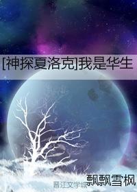 神探夏洛克我是华生