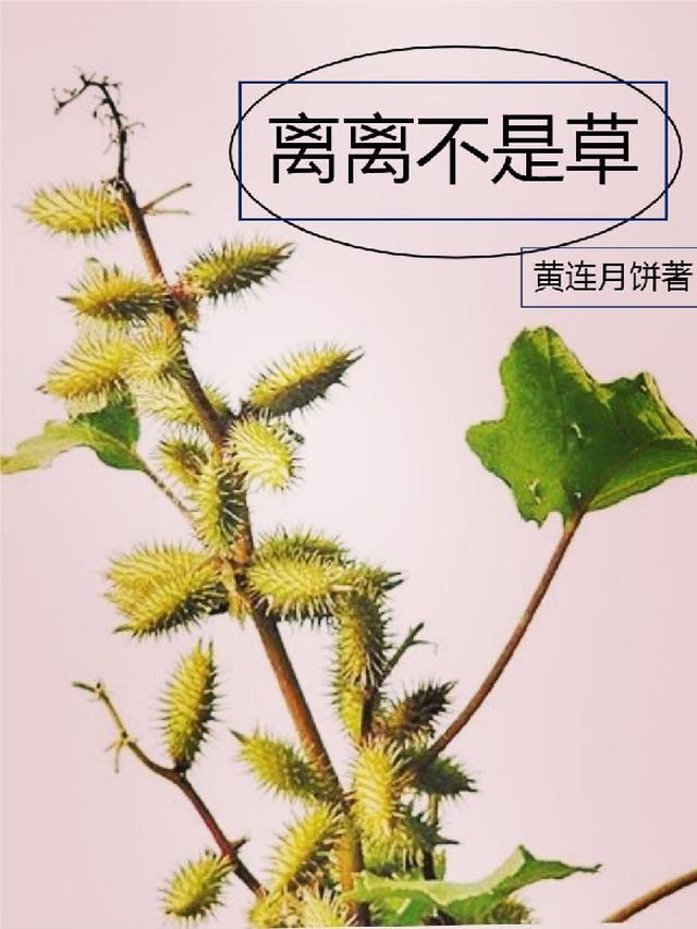 离离草的作品