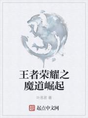 王者荣耀魔道宗师哪个区的?