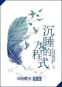 沉睡的方程式txt