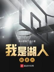 我是湖人新老大全文阅读