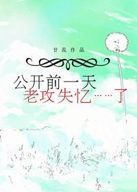 公开前一天老攻失忆了简介