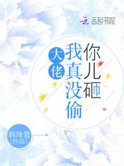 大佬我真没偷你儿砸完整版