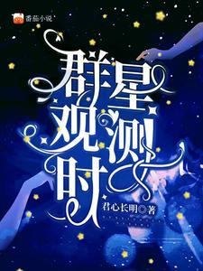 群星观测作品