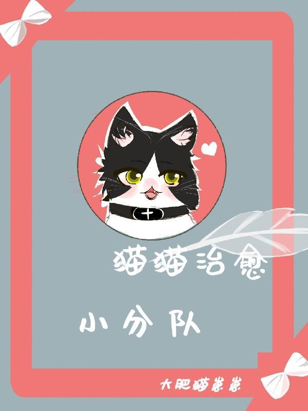 盘点猫猫的治愈瞬间