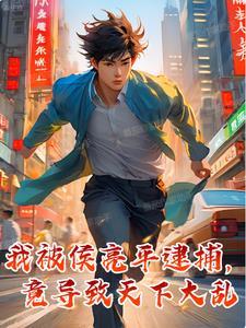 陷害侯亮平的人