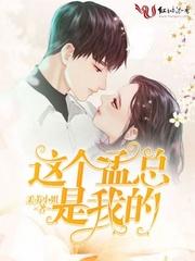 这个孟总是我的倾葵