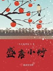盛唐小炒男女主