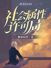 什么叫做社会属性