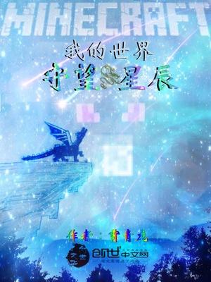 我的世界星辰枪械