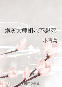 大师级炮灰