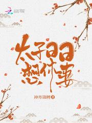 太子日日想休妻txt