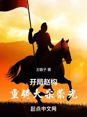 重生大宋赵构我乃穿越者