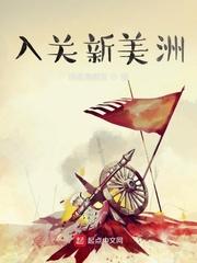 入关美洲