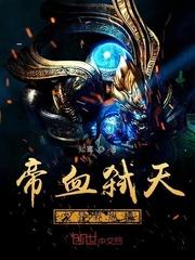 帝血弑天怎么加技能点