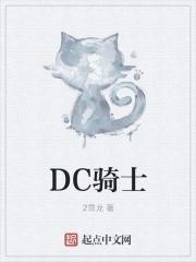 dc骑士陨落夜翼
