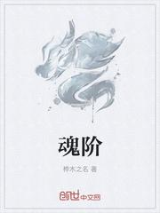 魂阶仙器师