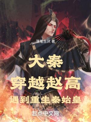 穿越大秦怼始皇赵浪