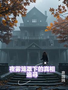 夜雾笼罩在格鲁吉亚山岗