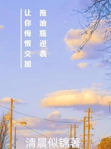 拖油瓶是我前女友轻epub