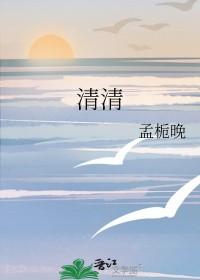 清清亮亮的意思