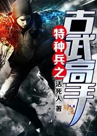 特种兵之古武高手精校版