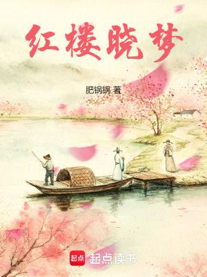 小红楼梦是什么