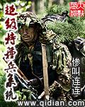 超级特种兵系统叶峰