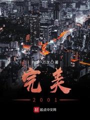 完美2001起点