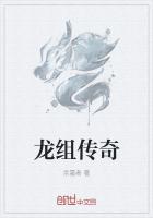 龙珠传奇第二部