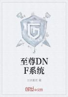 DNf至尊称号外观