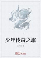 少年传奇王阳明