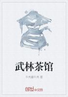武林闲侠茶馆