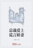 总裁爱上