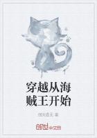 穿越从海贼王开始睡罗宾