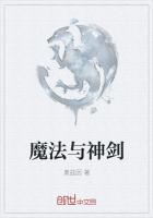 魔法神剑受四系影响吗