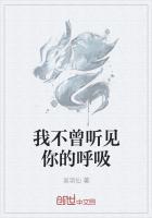 你不曾见过我是什么歌