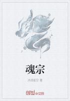 魂宗什么级别