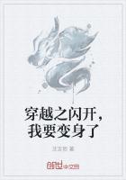 穿越成了闪光梦幻
