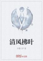 清风拂叶响声脆 光影更妩媚 一炷香 四目云中对
