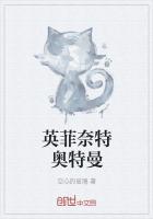 口袋妖怪英菲奈特塔