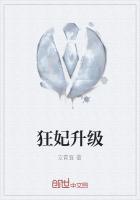 宫妃升级系统