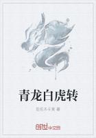 青龙白虎什么意思