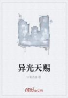 天赐之光免费