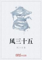 风三十五作品全集