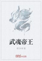 绝世帝王武魂